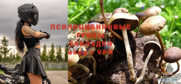 каннабис Михайловск
