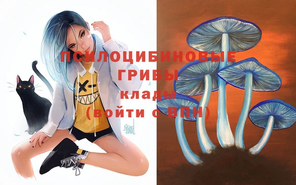 твердый Алексеевка