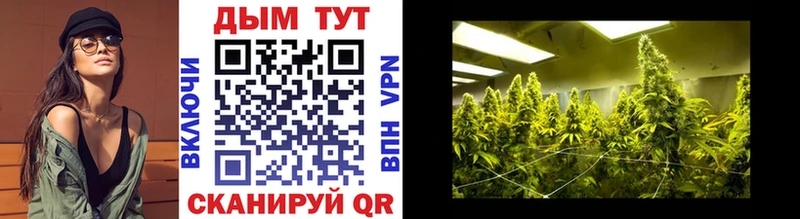 Канабис Ganja  сколько стоит  Брянск 